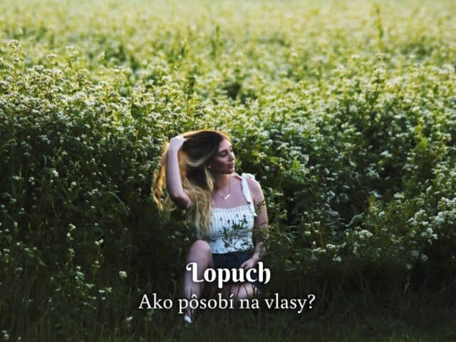 lopuch na vlasy