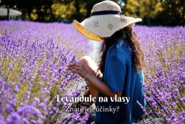 Lopúch na vlasy: Účinky a použitie – oleje a šampóny