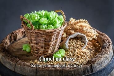Ako hydratovať vlasy? Poznáme 5 najlepších tipov