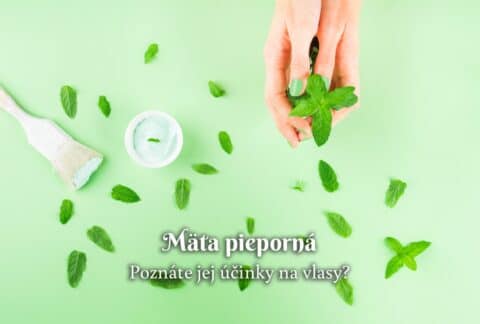 Mäta pieporná na vlasy
