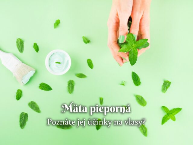 Mäta pieporná na vlasy